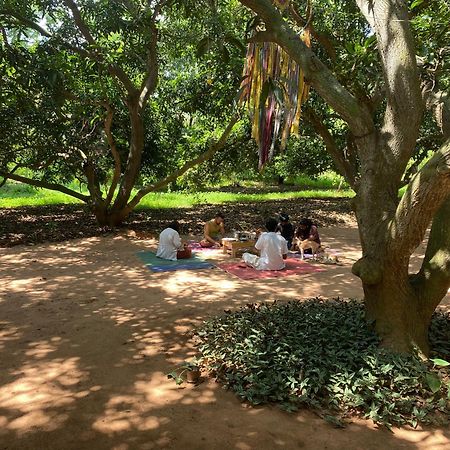 פונדיצ'רי Art Forest מראה חיצוני תמונה