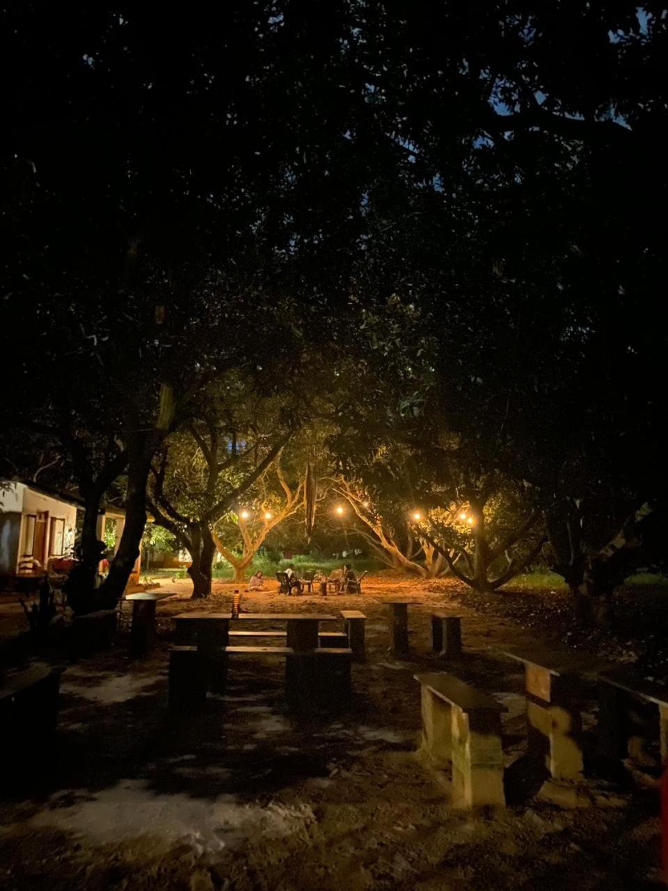 פונדיצ'רי Art Forest מראה חיצוני תמונה