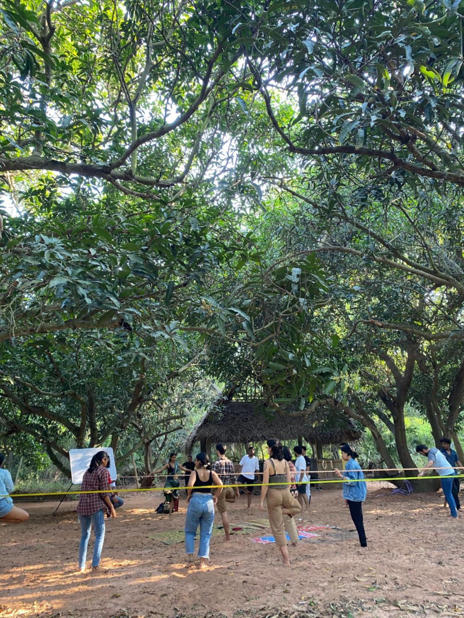 פונדיצ'רי Art Forest מראה חיצוני תמונה
