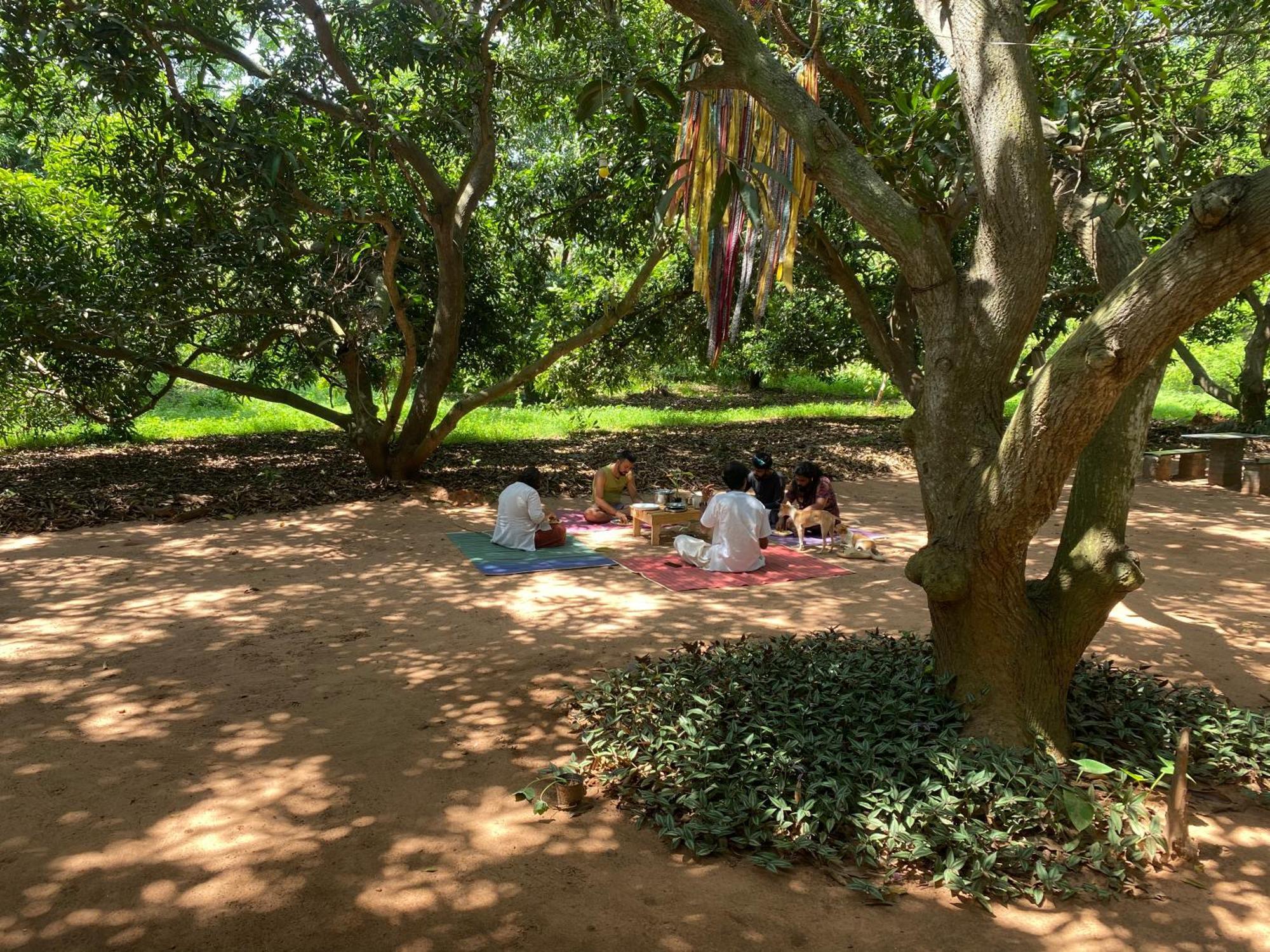 פונדיצ'רי Art Forest מראה חיצוני תמונה