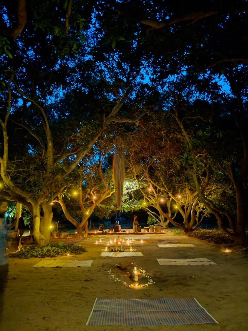 פונדיצ'רי Art Forest מראה חיצוני תמונה